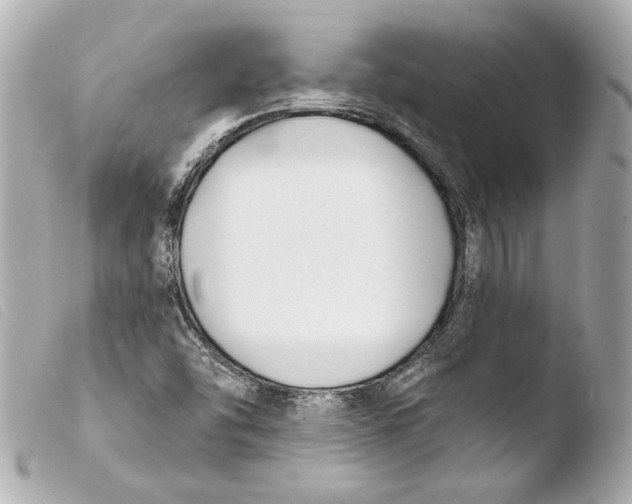 X0000103491454200810101011