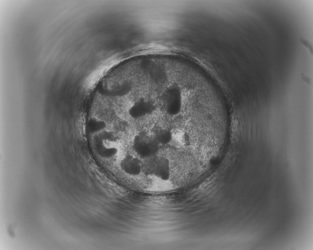 X0000103491455200810101011