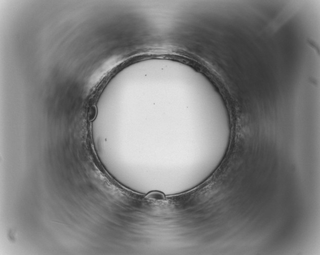 X0000103491456200810101011