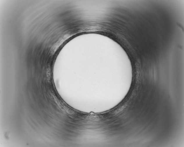 X0000103491457200810101011