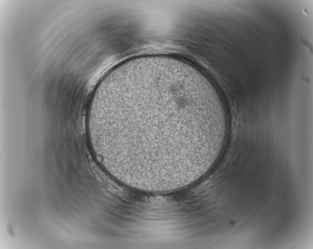 X0000103491459200810101011