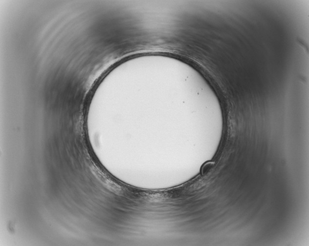 X0000103491460200810101011