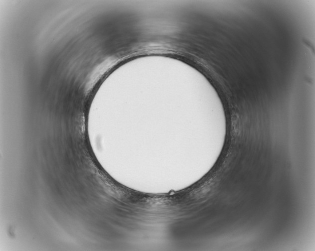 X0000103491461200810101011