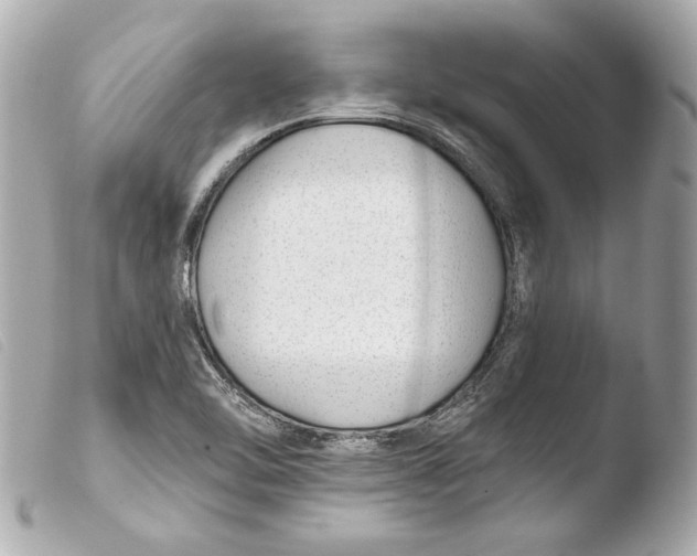 X0000103491462200810101011