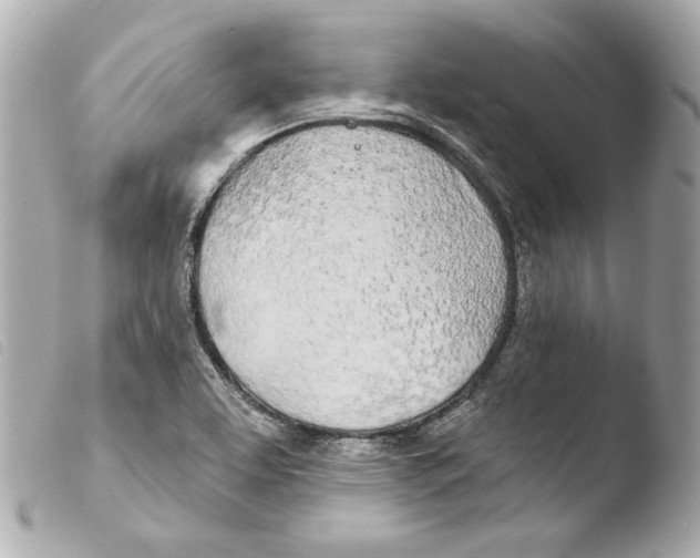 X0000103491463200810101011