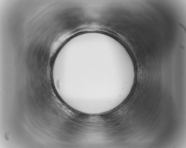 X0000103491464200810101011