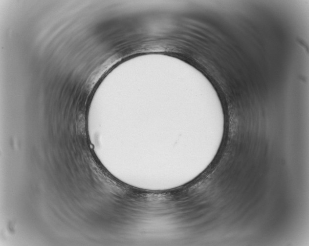 X0000103491465200810101011