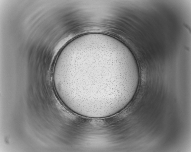 X0000103491466200810101011