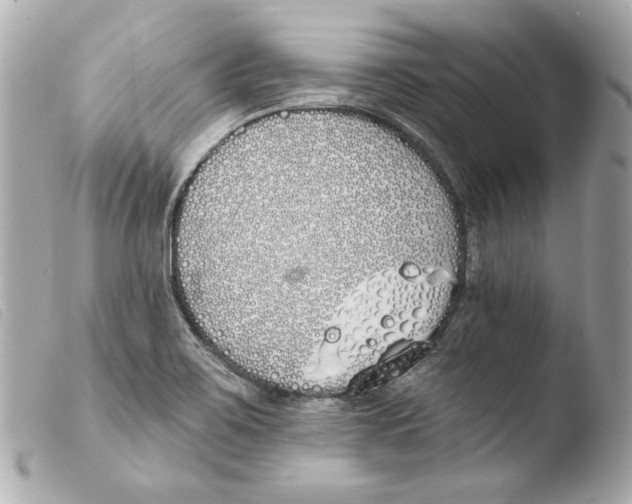 X0000103491467200810101011