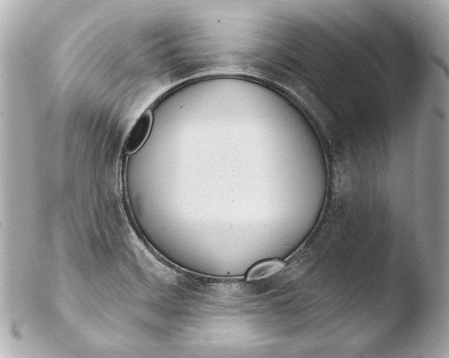 X0000103491468200810101011