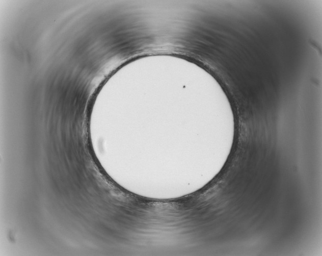 X0000103491469200810101011