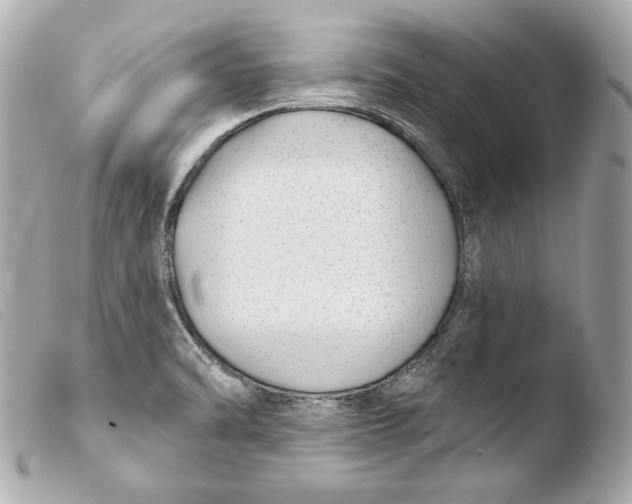 X0000103491470200810101011