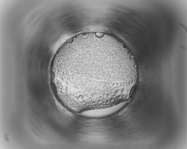 X0000103491471200810101011