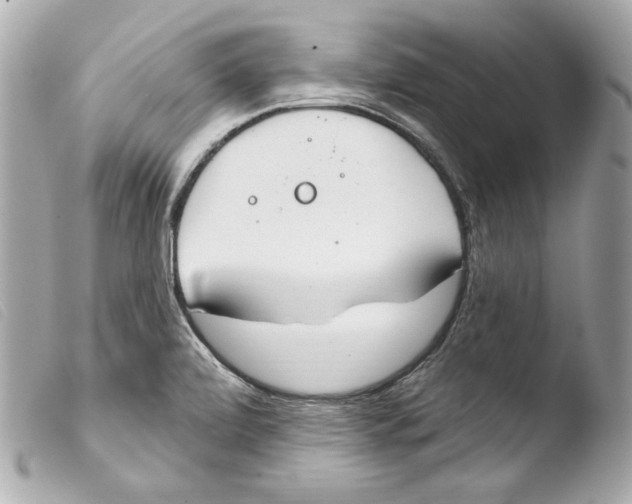 X0000103491472200810101011