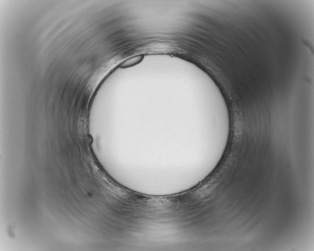 X0000103491473200810101011