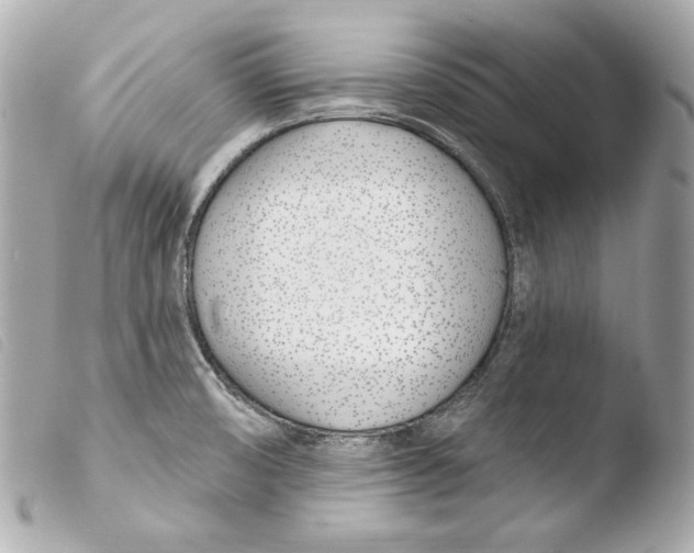 X0000103491474200810101011