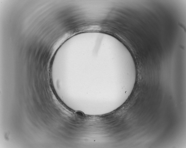 X0000103491475200810101011