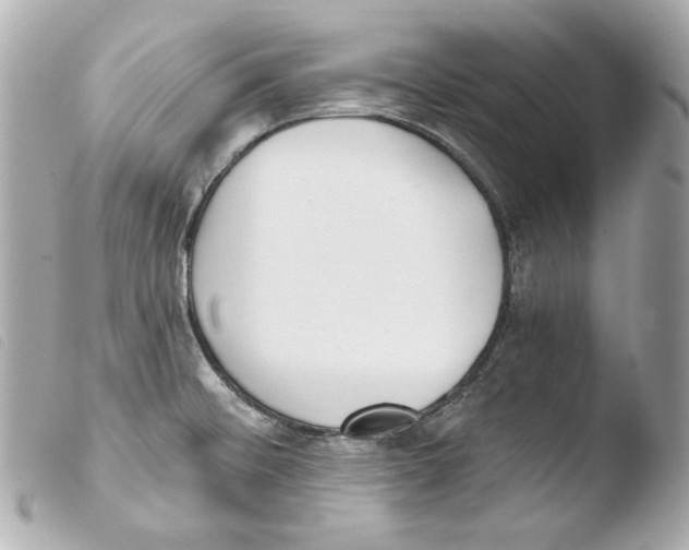 X0000103491476200810101011