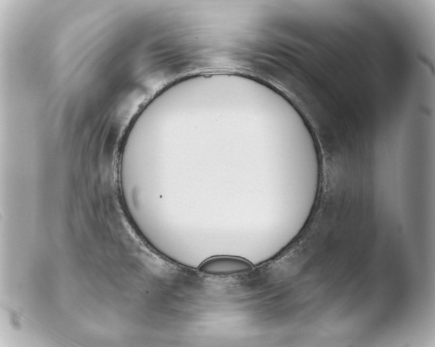 X0000103491477200810101011