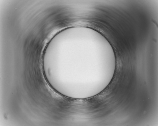 X0000103491478200810101011