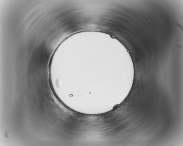 X0000103491479200810101011