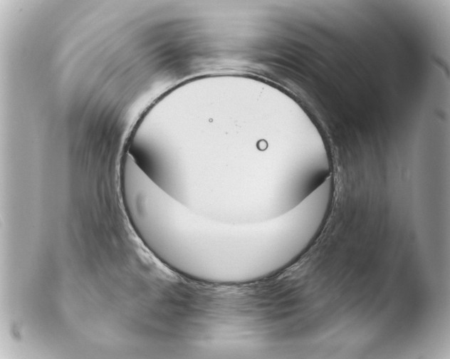 X0000103491480200810101011