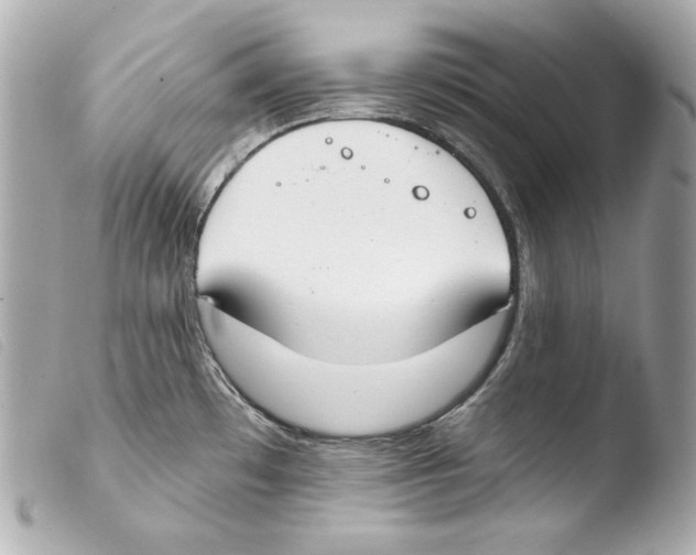 X0000103491481200810101011