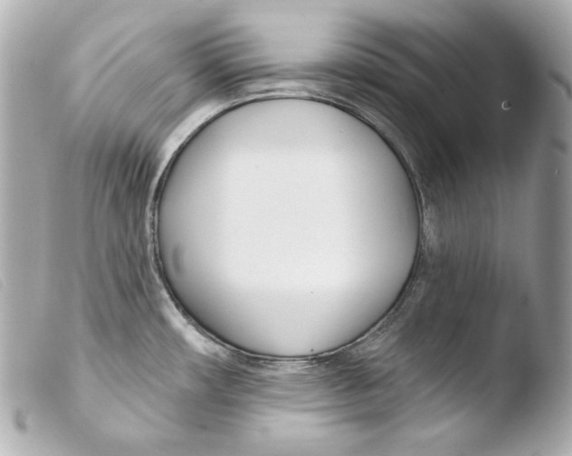 X0000103491482200810101011