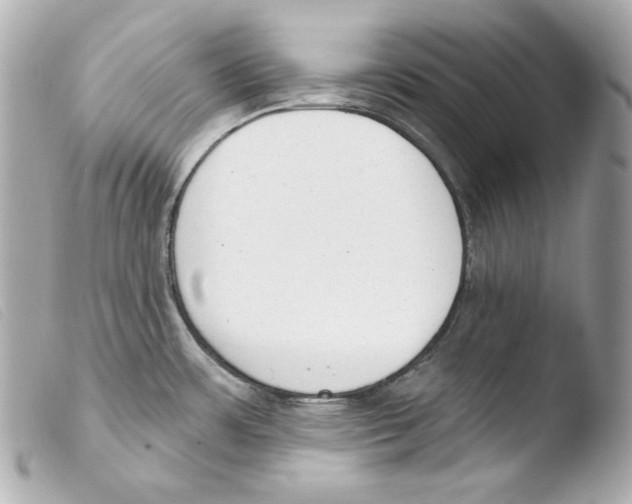 X0000103491483200810101011