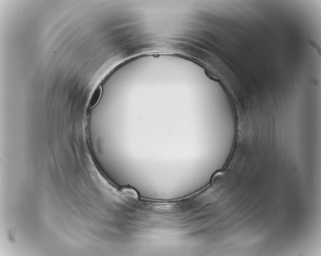 X0000103491484200810101011