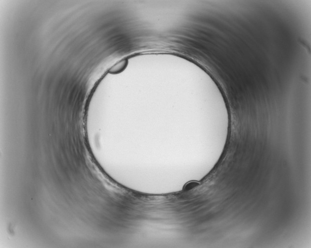 X0000103491485200810101011