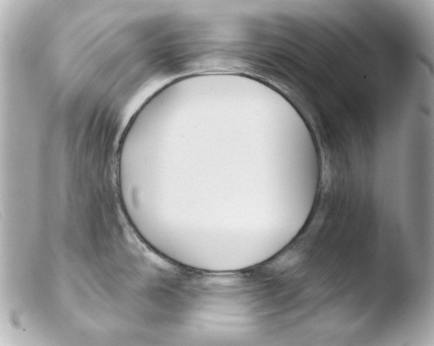 X0000103491486200810101011