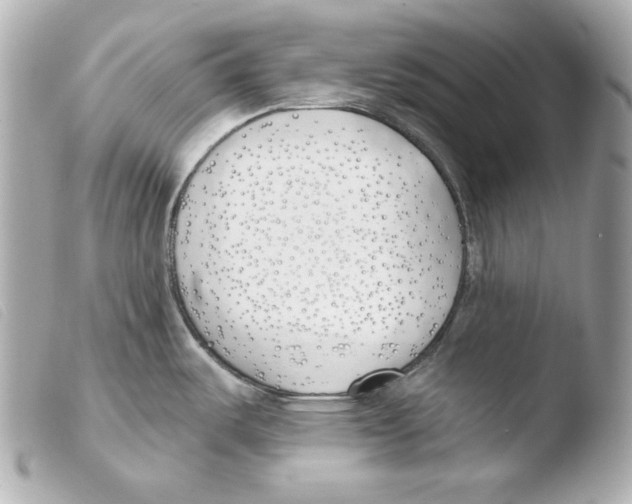 X0000103491487200810101011