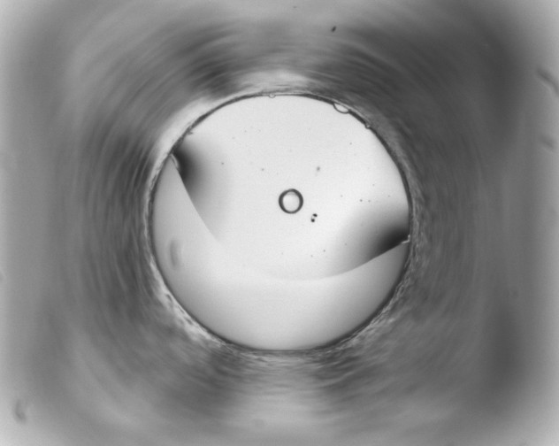 X0000103491488200810101011