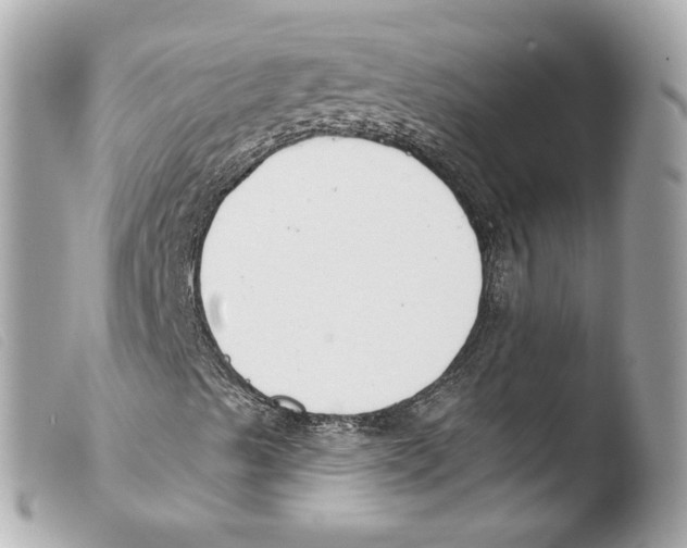 X0000103491489200810101010