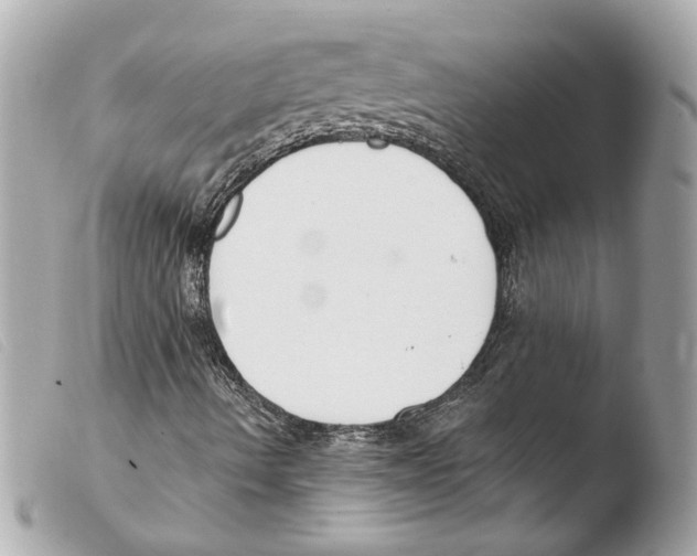 X0000103491490200810101010