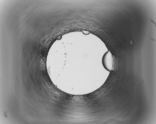 X0000103491491200810101010