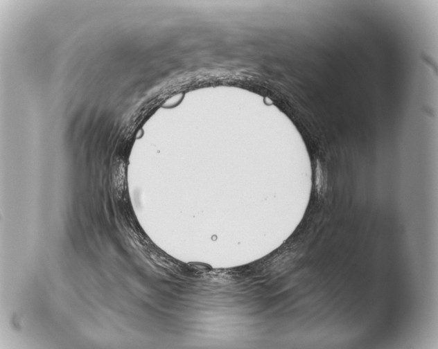 X0000103491492200810101010