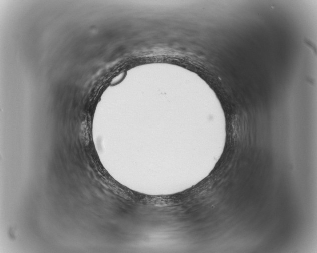 X0000103491493200810101010