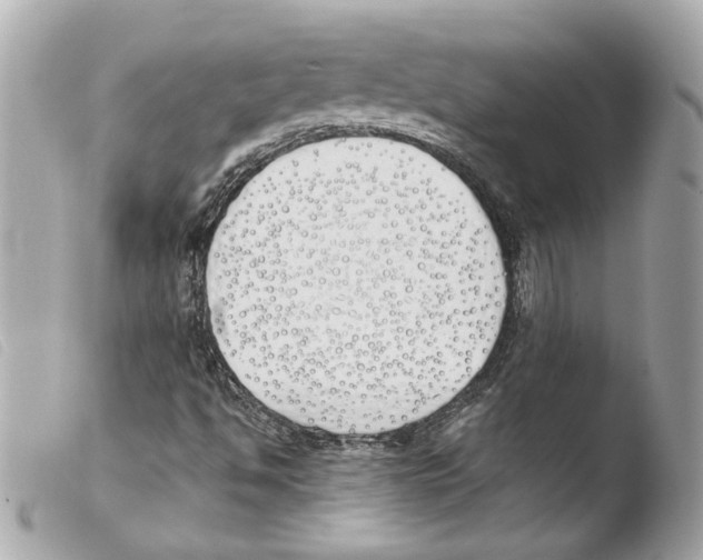 X0000103491494200810101010