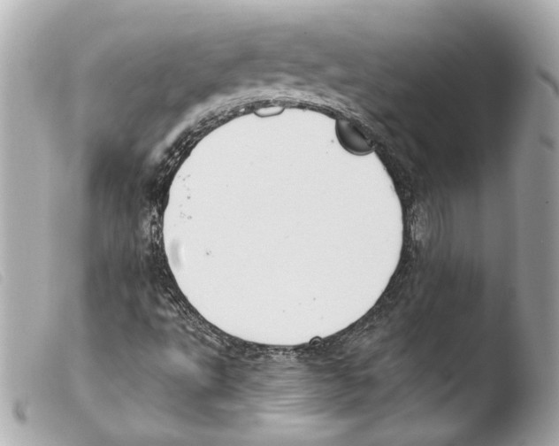 X0000103491495200810101010