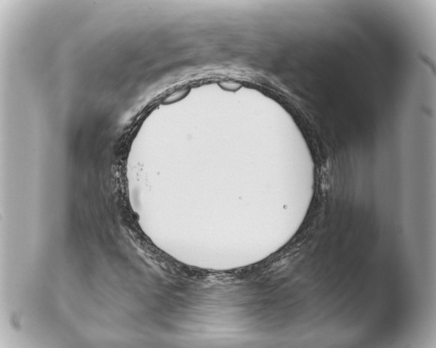 X0000103491496200810101010