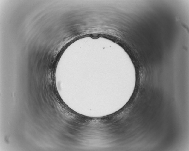 X0000103491497200810101010