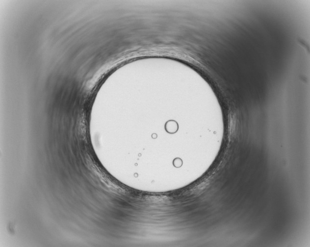 X0000103491498200810101010