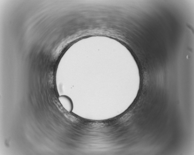 X0000103491499200810101010