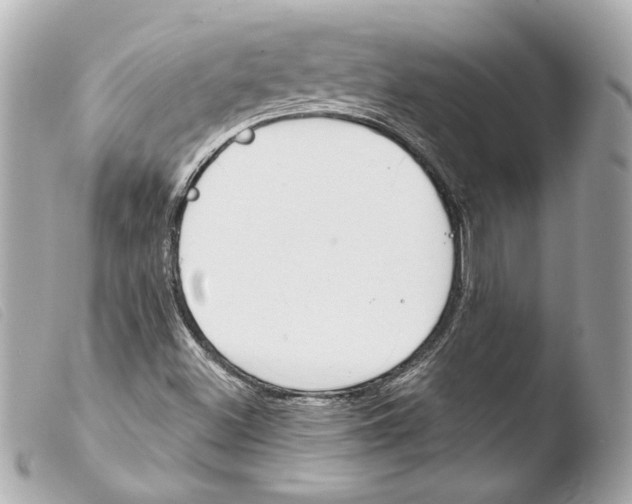 X0000103491500200810101010