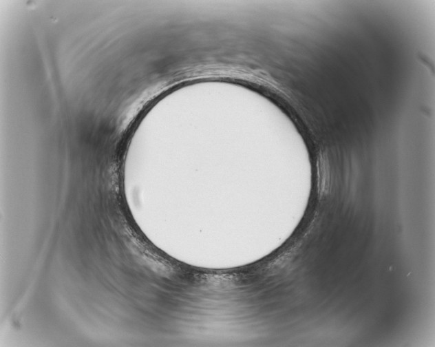 X0000103491501200810101010