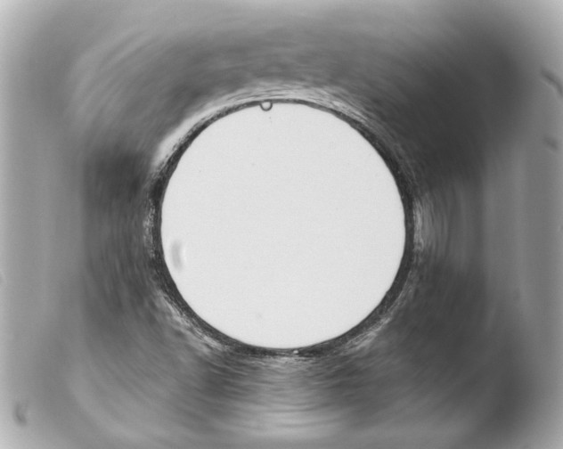 X0000103491502200810101010