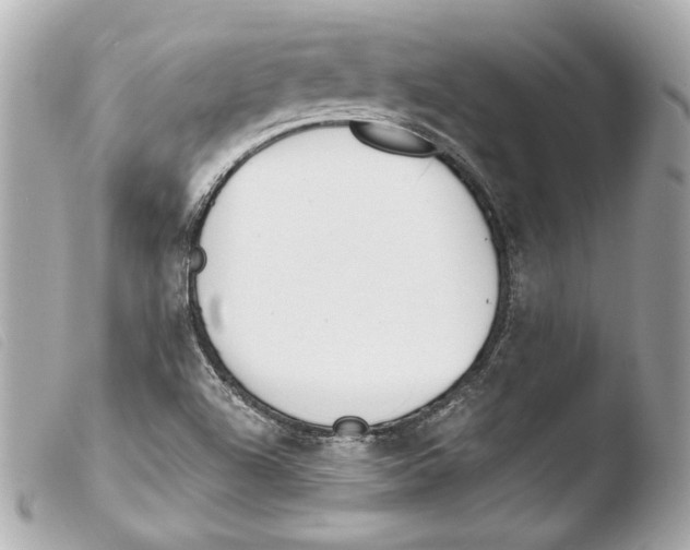 X0000103491504200810101010