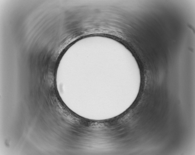 X0000103491505200810101010